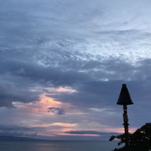 Meet your Posher, Cami